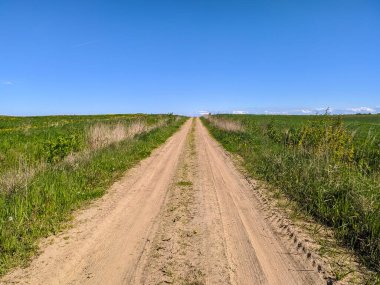 Saint-Petersburg banliyölerinde güzel çakıl yolu.