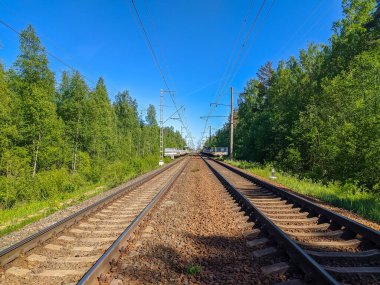 Saint-Petersburg banliyölerindeki demiryolu manzarası.