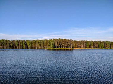 Saint-Petersburg banliyölerindeki orman gölü manzarası.