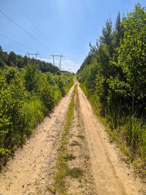 Saint-Petersburg banliyölerinde güzel çakıl yolu.