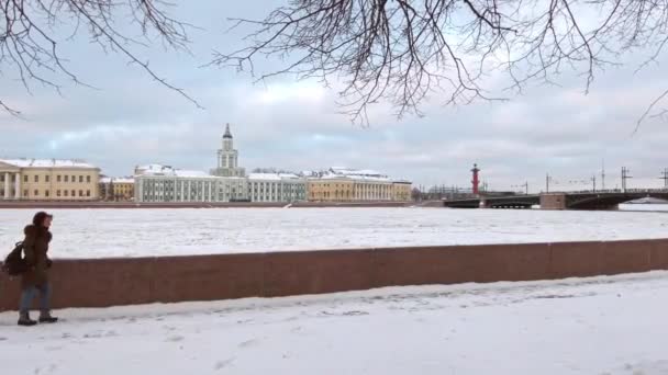 Saint Petersburg Russia Circa December 2021 View Neva River Winter — Video Stock