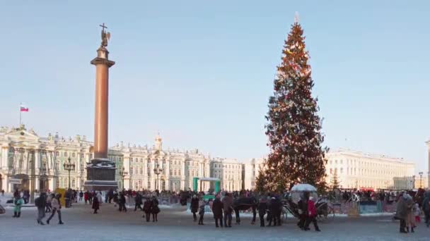 ロシア サンクトペテルブルク 2021年12月 サンクトペテルブルクのメイン広場にある新年の木 Dvortsovaya Ploshad — ストック動画
