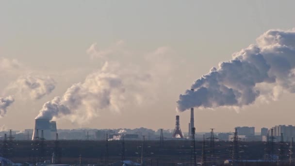 Air Pollution Suburbs Petersburg Russia — Stock Video
