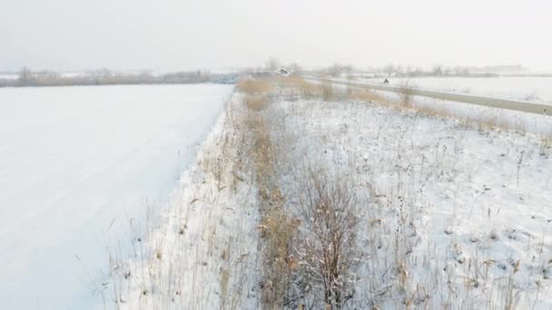 Drone Aerial Shot Vegetation Road Agricultural Field Snow — Video