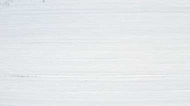 Karla kaplı bir tarla insansız hava aracının görüntüleri. İHA geri gidiyor.