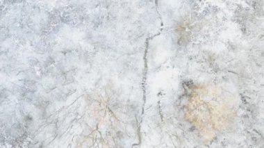 Dar bir dereyle kaplı donmuş bir ormanın havadan görünüşü