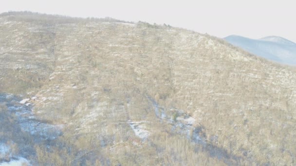 Karla Kaplı Bir Tepedeki Yaprak Döken Bir Ağacın Drone Görüntüsü — Stok video