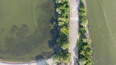 drone aerial view footage of pier on Danube river - green water full of algae
