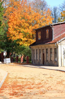 sonbahar kuldiga City