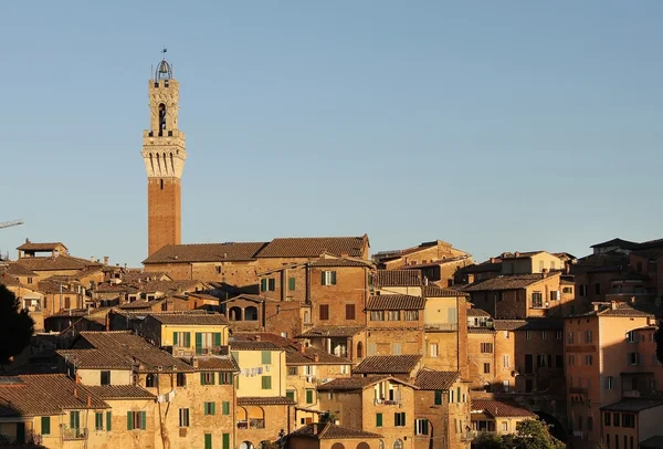Vista da cidade de siena em itália — Fotografia de Stock