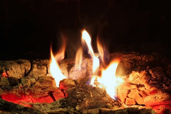 Wood fire — Stock Photo, Image