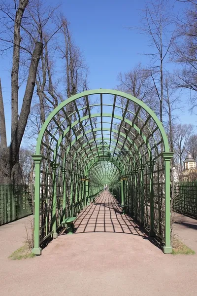 Pérgola en el jardín de la ciudad — Foto de Stock