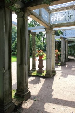 Pergola tsarskoe Selo, Rusya Federasyonu