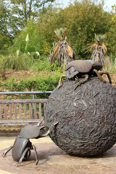 Londra Hayvanat Bahçesi dev bok böceği heykel — Stok fotoğraf
