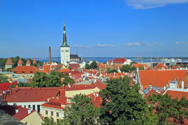 Tallinn Estland Augustus 2020 Oude Binnenstad Van Tallinn Belangrijkste Bezienswaardigheden — Stockfoto