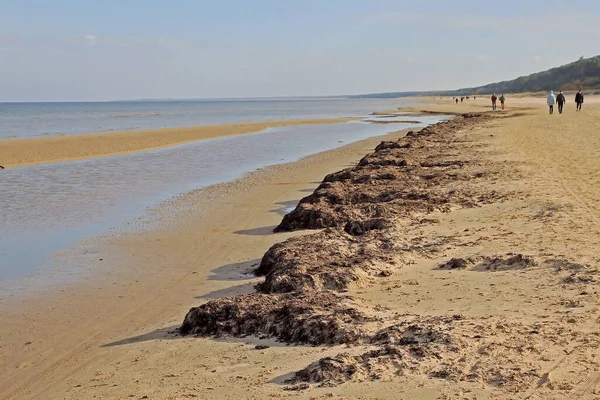 Jurmala Λετονία Οκτωβρίου 2021 Παραλία Φύκια Άνθρωποι Περπατούν Και Χαλαρώσετε — Φωτογραφία Αρχείου