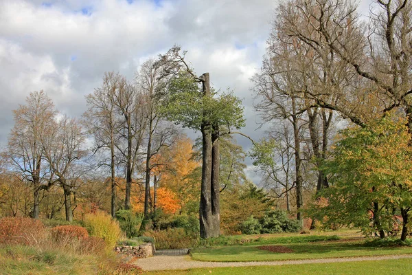 Podzimní Krajina Městském Parku — Stock fotografie