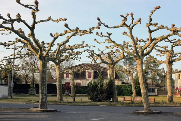 Allemans Dropt France March 2022 Allemans Dropt Commune Lot Garonne — Foto de Stock