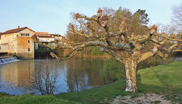 Allemans Dropt France March 2022 Old Mill Dropt River Platanus — 스톡 사진