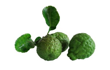 Kafir kireç, narenciye, kireç veya Mauritius papeda meyvesi seçici odaklı arka planda beyaz üzerine izole edilmiş.