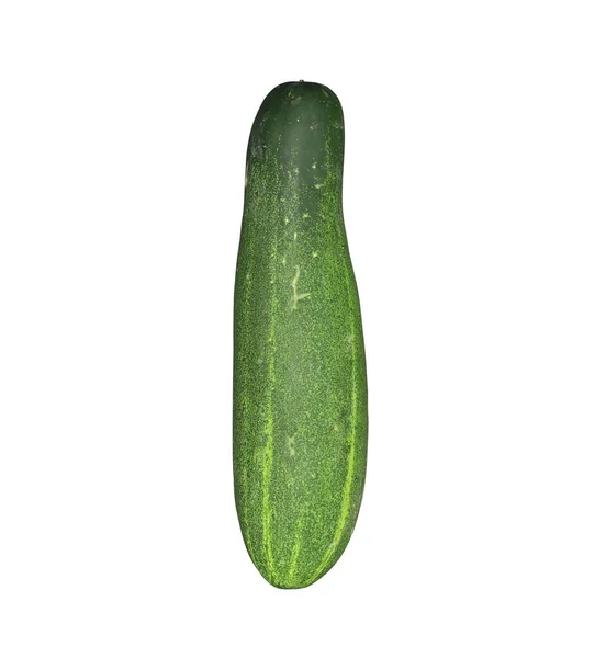 Cucumber Isolated White Background Selective Focus — Fotografia de Stock