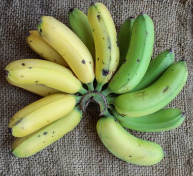 Çuval çuval yüzeyinde sarı ve yeşil muzlar seçici bir odak ile arka plan