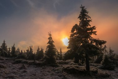 Ağaçlarla kaplı dağ manzarası, sisli güneş ışınları. Jesenik. Çek Cumhuriyeti..
