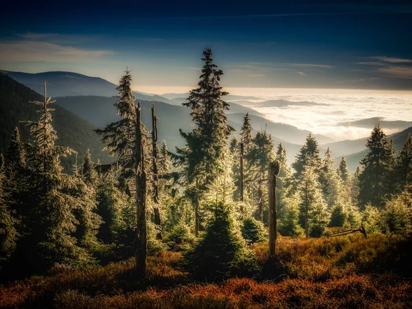 Paisagem Montanhosa Cênica Com Árvores Floresta Luz Solar Vista Uma — Fotografia de Stock