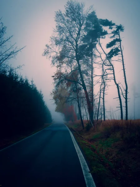 안개낀 가을의 아스팔트 — 스톡 사진