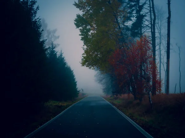 Asfaltová Cesta Mlhavých Podmínek Špatné Počasí Mlha Čára Stromy Podzimní — Stock fotografie