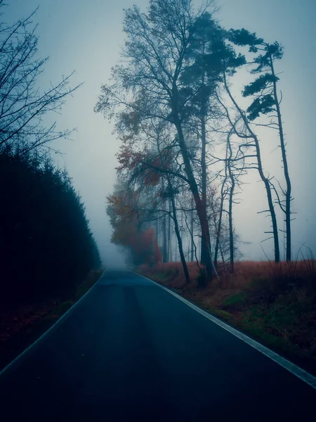 안개낀 가을의 아스팔트 — 스톡 사진
