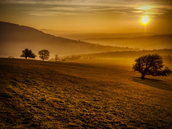 Paisagem Montanhosa Cênica Com Árvores Solitárias Durante Pôr Sol Vista — Fotografia de Stock