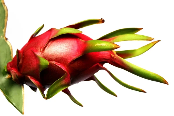 Dragon Fruit на белом фоне — стоковое фото