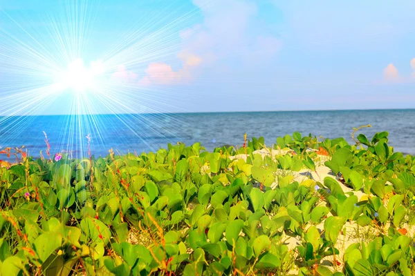 Beach of china — Stock Photo, Image