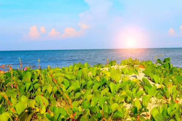 Beach of china — Stock Photo, Image