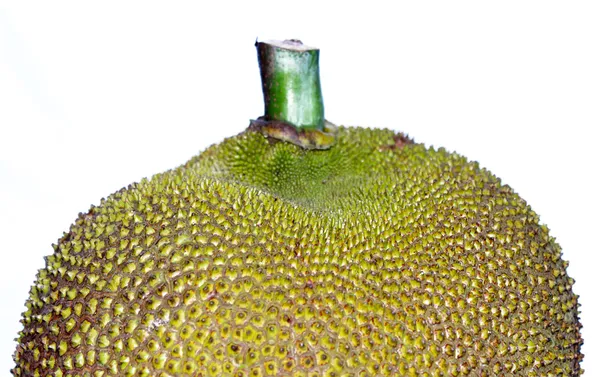 Fehér alapon zöld jack gyümölcs — Stock Fotó
