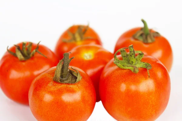 Foto de tomates muito frescos apresentados no fundo branco — Fotografia de Stock
