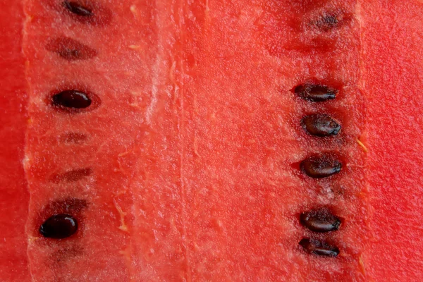 Pedaço de melancia fresca — Fotografia de Stock