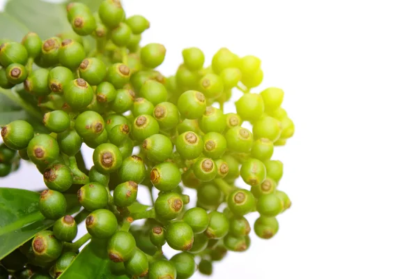 Свежие зеленые фрукты на белом фоне — стоковое фото