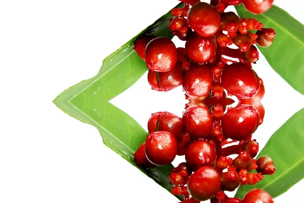 Fruta silvestre roja aislada en blanco —  Fotos de Stock