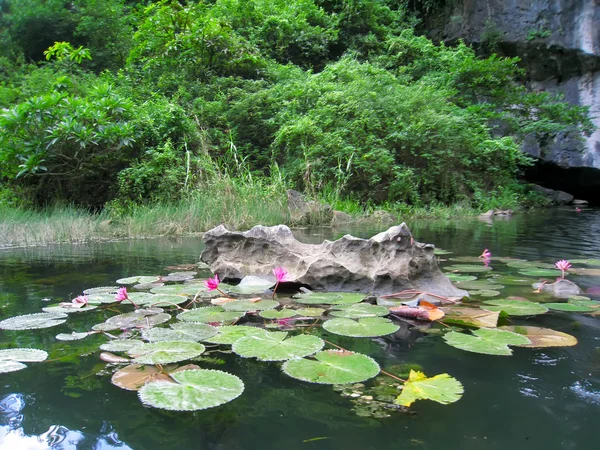 Landschaft mit Berg und Fluss, Trang An, Ninh Binh, Vietnam — Stockfoto