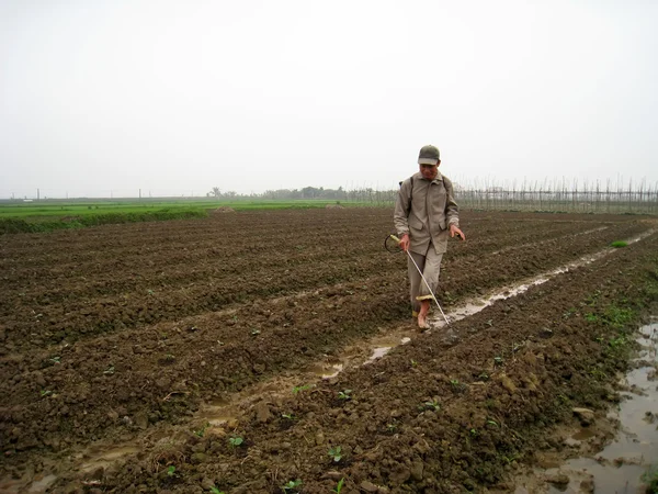 Фермеры распыляют гербициды на вновь посаженные бобовые поля — стоковое фото