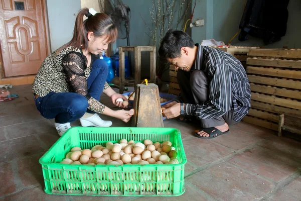 Fermier vietnamien pour vérifier l'œuf dans l'incubateur — Photo