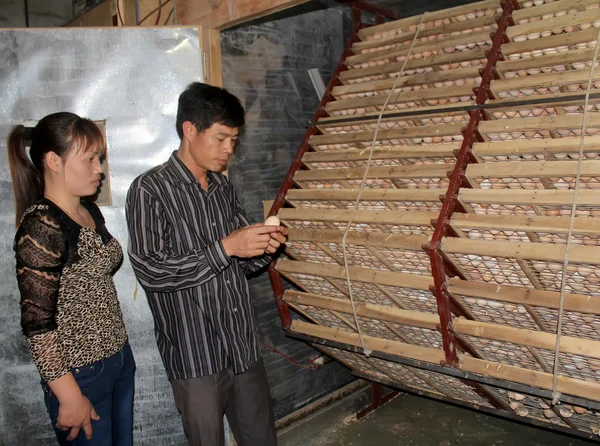 Vietnamese farmer to check egg in incubator — Stock Photo, Image