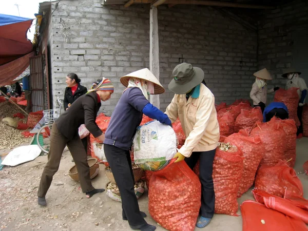 Fermier vietnamien non identifié nettoyer coquille d'oignons et ensachage — Photo