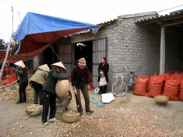 Fermier vietnamien non identifié nettoyer coquille d'oignons et ensachage — Photo