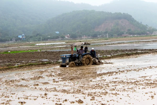 Wietnam rolników działa w dziedzinie ryżu z ciągnika — Zdjęcie stockowe