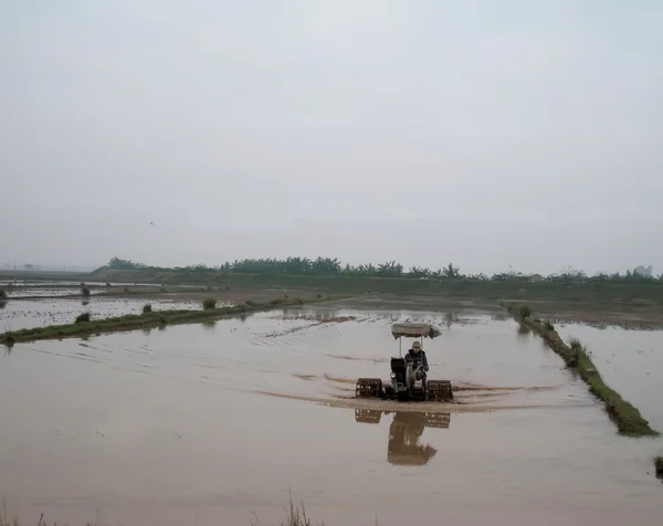 Campesinos de Vietnam trabajan en un campo de arroz con tractor — Foto de Stock