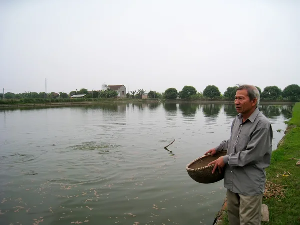 Agricultor vietnamita para alimentar a los peces — Foto de Stock