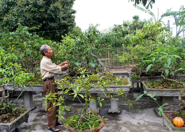 Vietnamský farmář pohled po stromy v zahradě — Stock fotografie